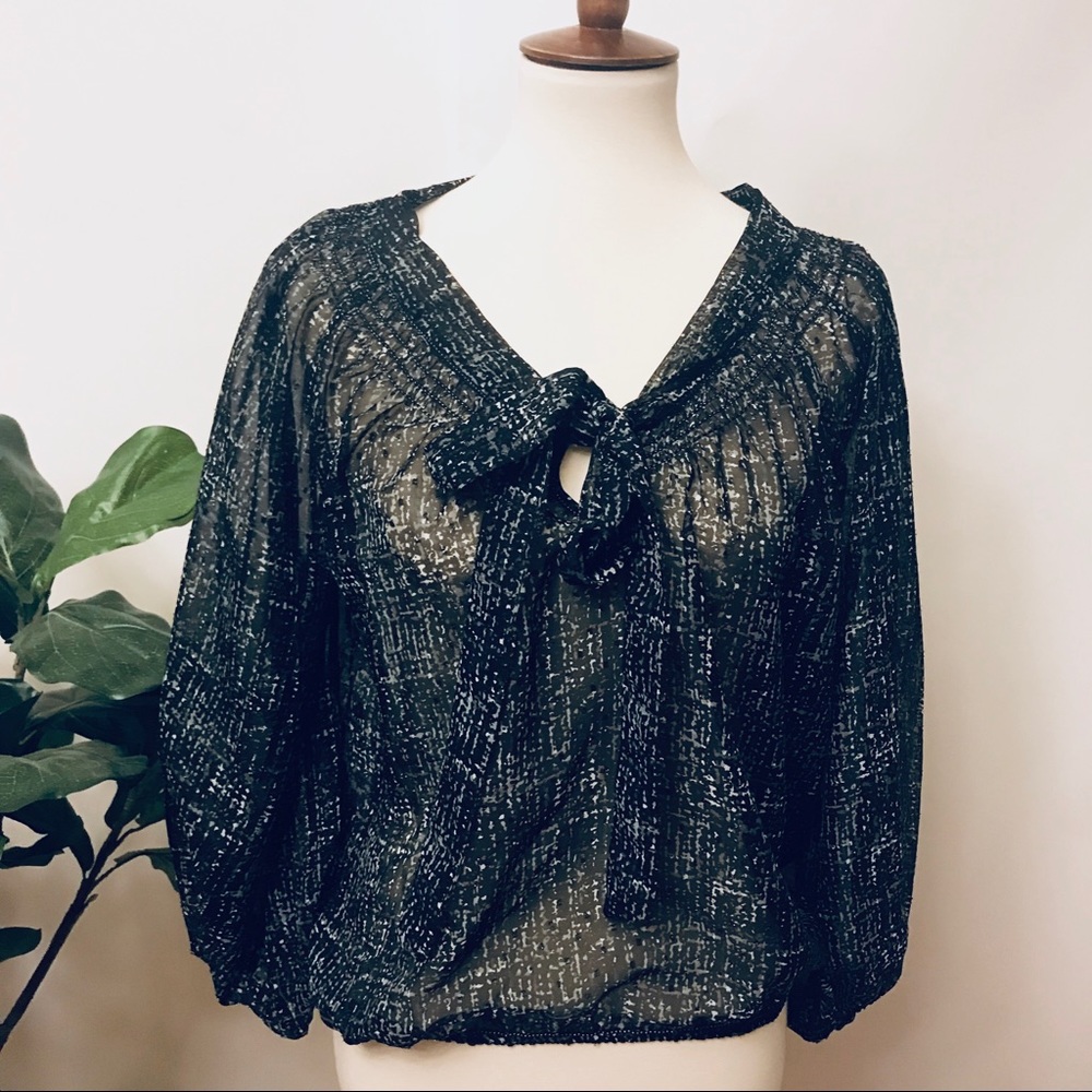 Studio M sheer top with poet sleeves
